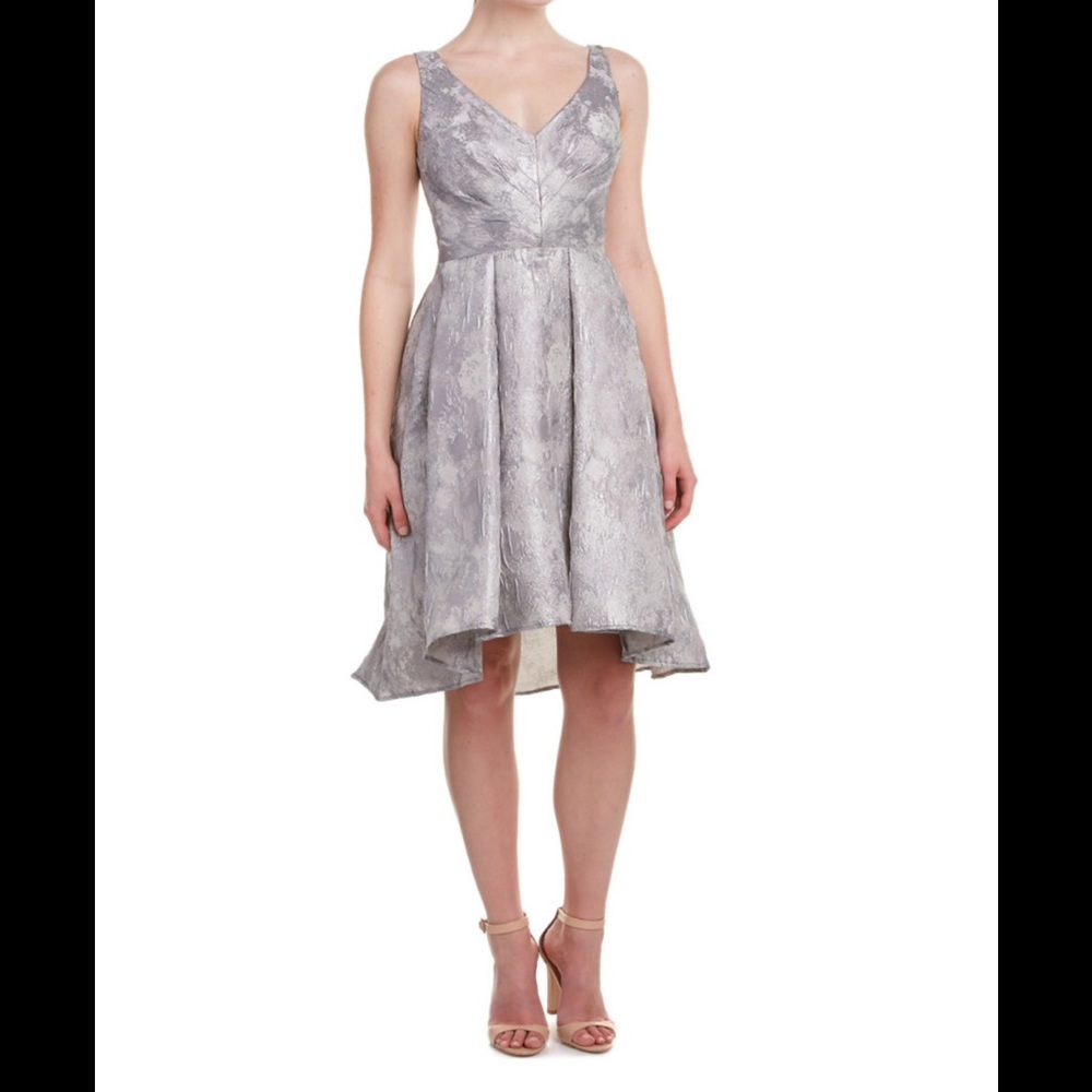 Eva Franco Platinum Fit and Flare Dress